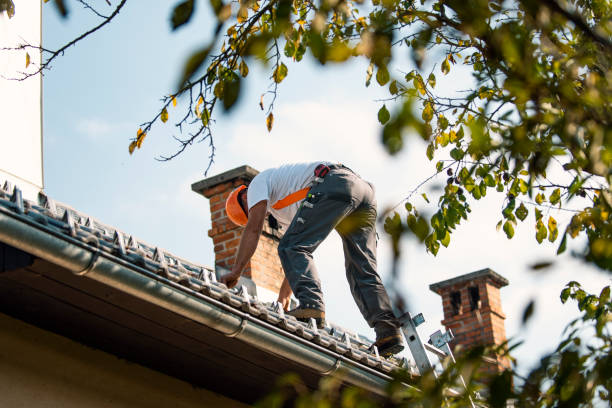 Roof Gutter Cleaning in New Albany, IN